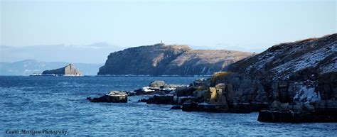 Carbonear Newfoundland | Newfoundland and labrador, Newfoundland, Favorite places