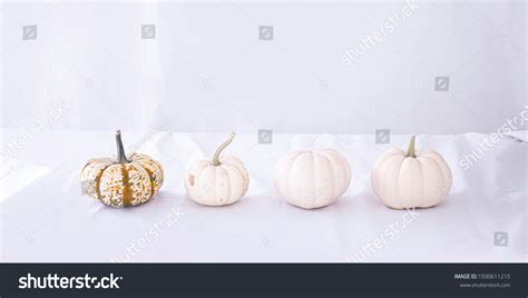 220,922 Fall With White Pumpkins Images, Stock Photos & Vectors ...