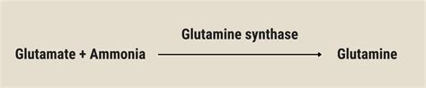 How target-site glufosinate resistance works - Australian Herbicide ...