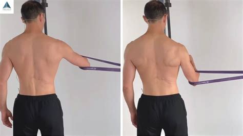 Lower Trapezius Activation Exercise for Pain-Free Mobility - Precision ...