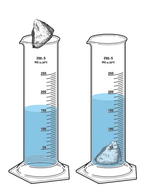 Water Displacement Worksheet Science
