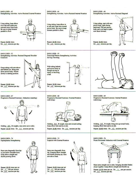 neck exercises pdf arc - Dorsey Glynn