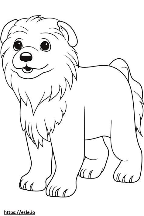 Maltese cute coloring page