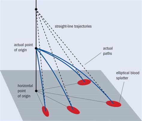 The physics of blood spatter – Physics World