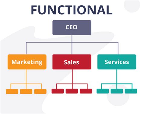 Functional Organizational Structure | Organizational structure, New ...