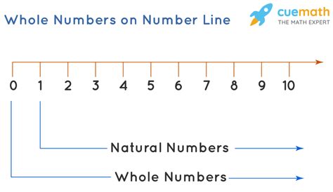 Whole Numbers Examples