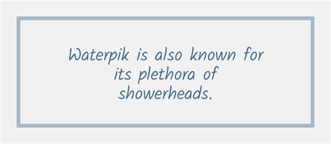 Should I Use a WaterPik Before or After I Brush My Teeth? | River Run Dental