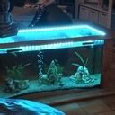 Table basse aquarium par Thiego sur L'Air du Bois