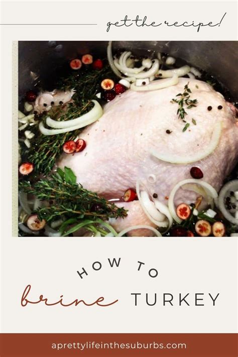 Brining A Turkey - A Pretty Life In The Suburbs