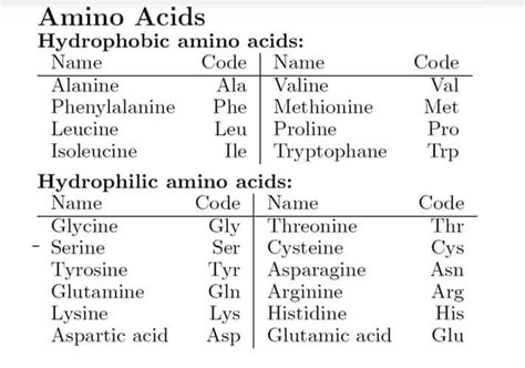 Hydrophilic & hydrophobic amino acids - دكتور محمد يسري عياد