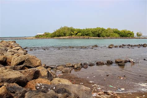 Coast of Paradise: Ekosistem Pantai Berdasarkan Jenisnya