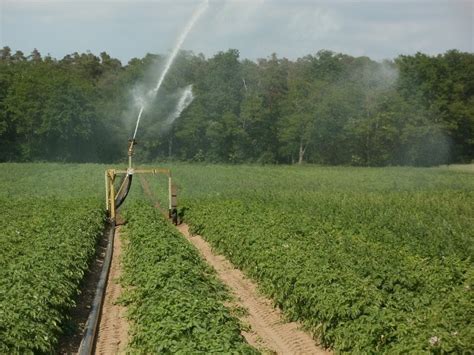 Irrigation Methods - A Beginners Guide | Agri Farming