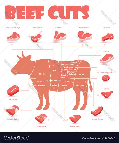 Cuts Of Beef Chart