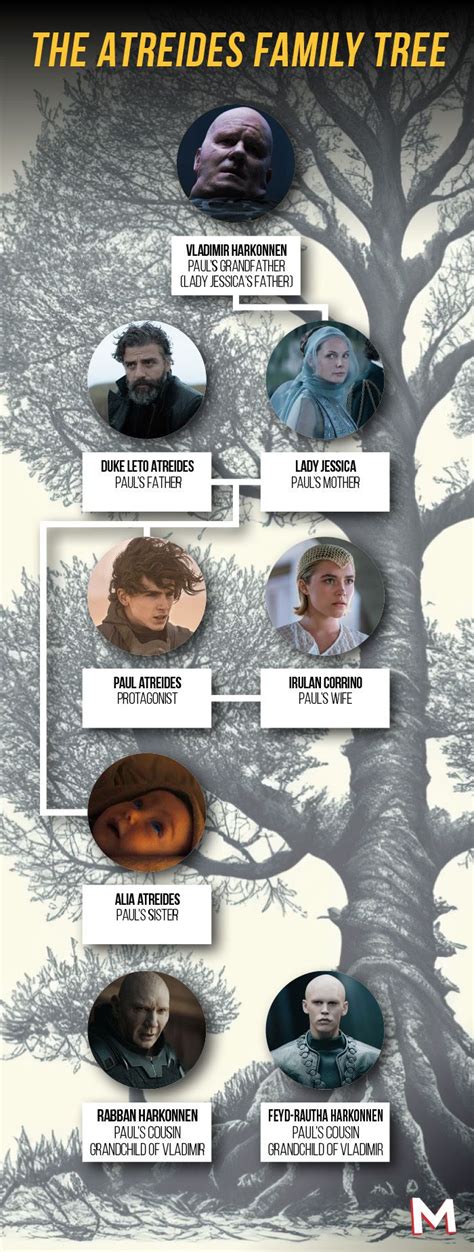 Dunes Atreides family tree and character age, explained - USTimeToday