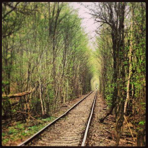 Тунель Кохання / Tunnel of Love | Tunnel of love, Train tracks, Places to go