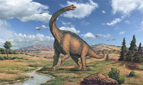 How Was Brachiosaurus Discovered?