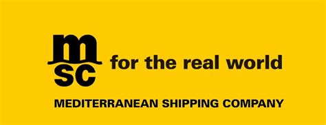 Mediterranean Shipping Company, Cruise Companies, Msc Cruises, Princess Cruises, Cruise Outfits ...