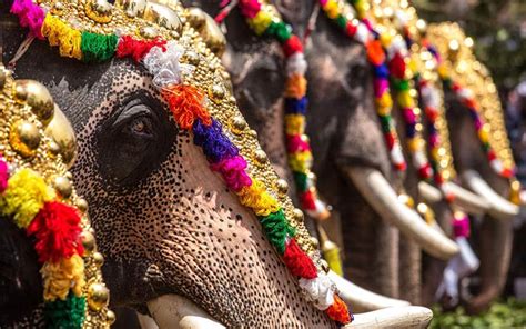 25 Famous Festivals of Kerala | Kerala Festivals – Swan Tours