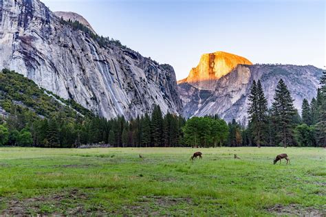 Visit Curry Village: 2024 Travel Guide for Curry Village, Yosemite ...