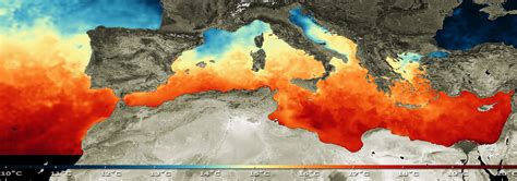 Space in Images - 2008 - 10 - Mediterranean sea surface temperature