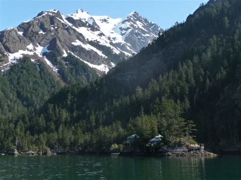 Orca Island Cabins in Seward, Alaska; Whale Watching; Kayaking