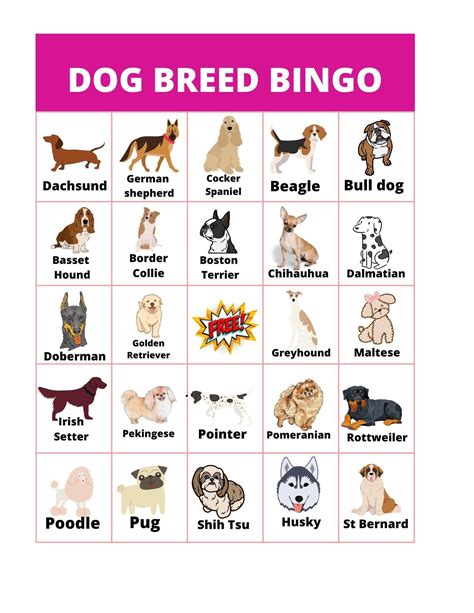 Pin on Bingo games/Printables