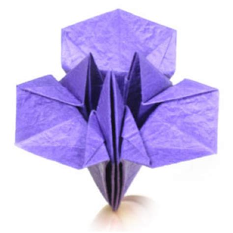 How to make a simple origami iris flower: page 1