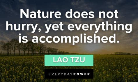 Lao Tzu quotes about life, love and happiness (2023)