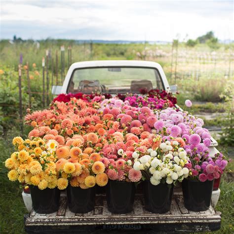 Print Farm Truck Filled With Flowers – Floret Shop