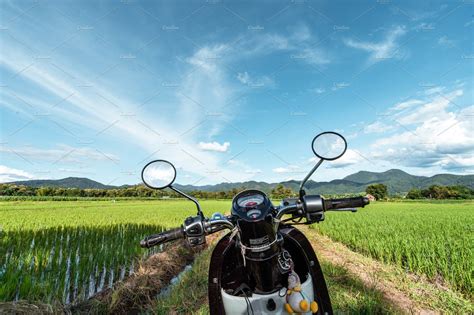 Rice field ,Aerial view of rice fields | Nature Stock Photos ~ Creative Market