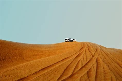 Stock Pictures: Desert Safari