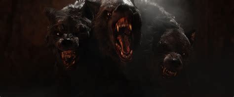 Asus Cerberus Wallpapers - Top Free Asus Cerberus Backgrounds - WallpaperAccess