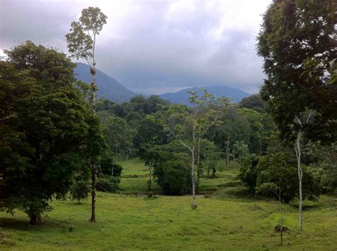 Rainforest Tropical Hike in Costa Rica