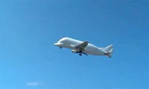 Airbus Beluga Takeoff in Hamburg | Military.com