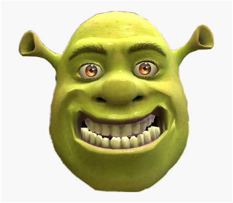 shrek funny face