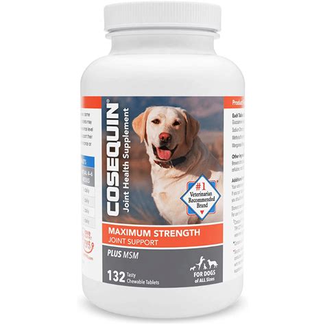 The Best Dog Joint Supplements - Help Them Stay Active