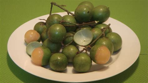 Quenepas: How to Eat Quenepa Fruit - YouTube