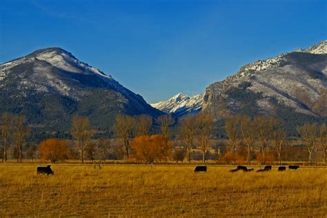 Bitterroot Valley | looking west into the entrance to Blodge… | Flickr