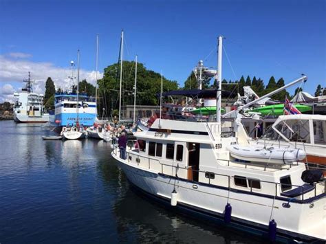 Ballard Locks variety of boats.June 2016 | Wedgwood in Seattle History