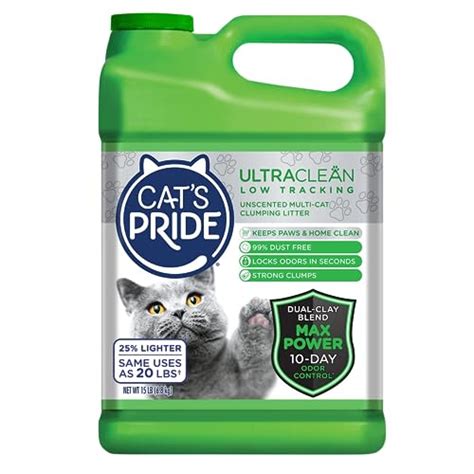 Best No-Track Litter for Cats: Top Picks and Reviews