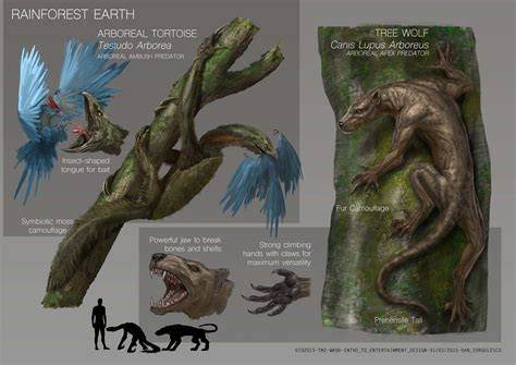 Evolution Of Animals On Earth