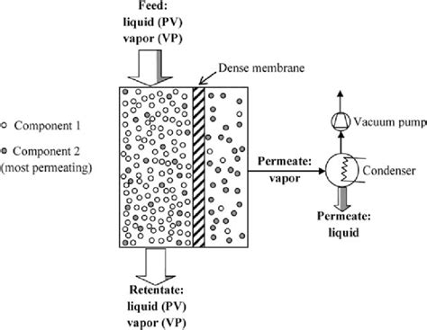 4 Schematic diagram of pervaporation and vapor permeation principles... | Download Scientific ...