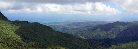 Best Hiking Trail (to the TOP) El Yunque National Forest - Living in Puerto Rico