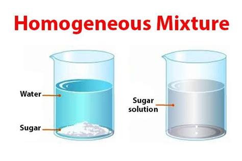 Homogeneous Mixture Examples Food