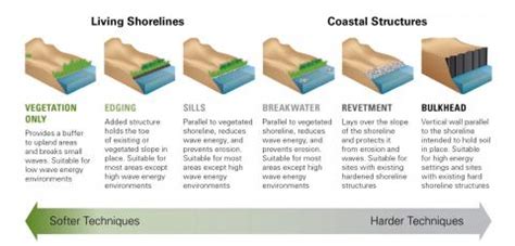 A continuum of green (soft) to grey (hard) shoreline stabilization techniques used to mitigate ...