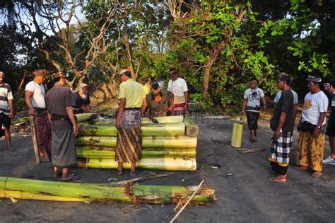 Prepare a Procession of Ngaben Editorial Stock Photo - Image of blora, prepare: 127663663