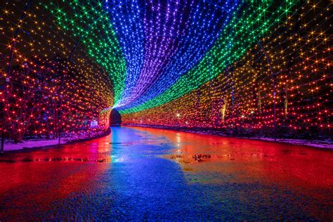 15 Best Places To See Christmas Lights in North Carolina - Southern ...