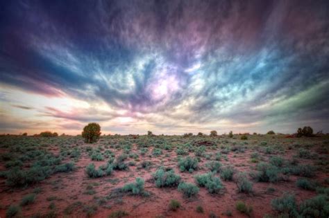 Stunning "Sagebrush" Artwork For Sale on Fine Art Prints