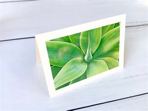 Nature Greeting Cards Blank Note Cards Nature Stationary - Etsy