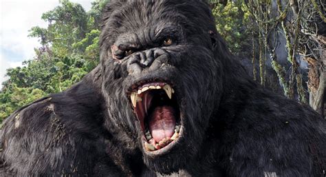 5 Reasons Why Peter Jackson’s King Kong Is a Brilliant Example of a ...